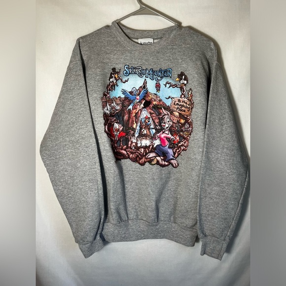 Hanes Disneyland Disney Parks Splash Mountain Grey  Crewneck Size S - Picture 3 of 10